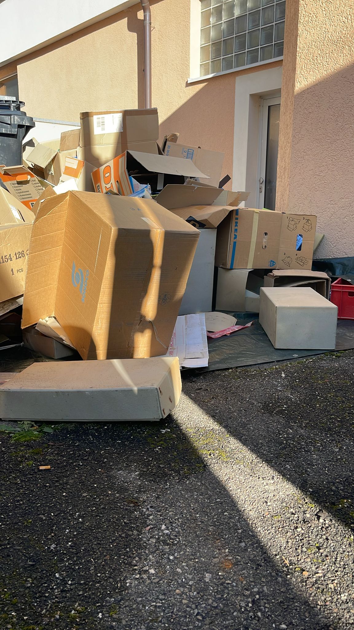 Vorher-Aufnahme aus dem Auftrag Sperrmüll im Garten in Erzhausen